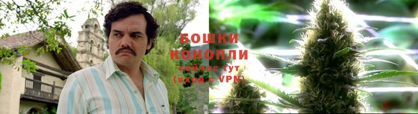 сатива Абаза