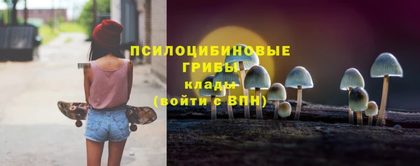 первитин Алексин