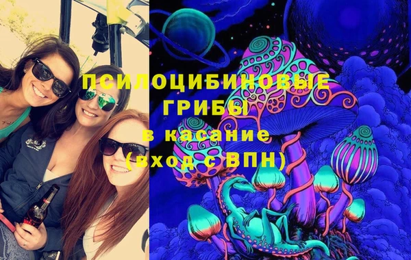 сатива Абаза
