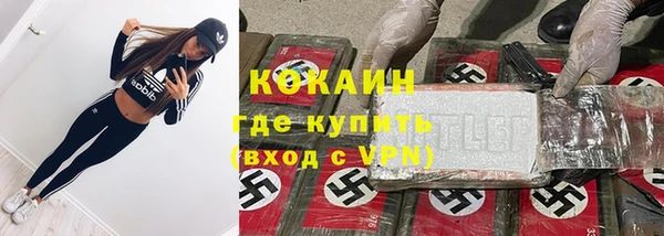 сатива Абаза