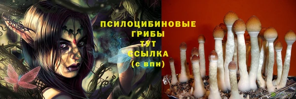 сатива Абаза