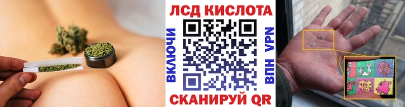 OMG tor  Каменногорск  Наркотические марки 1,8мг 